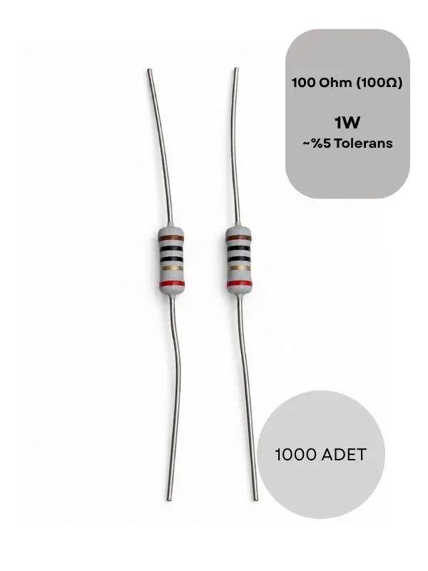 1 Watt 100R Direnç %5 Hassasiyet Through Hole Elektronik Devre Elemanı (1000 ADET)