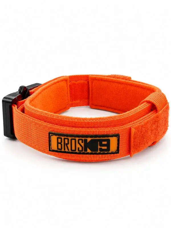BROSK9 Taktik Köpek Boyun Tasması Hızlı Açılır Tokalı Turuncu M Beden K9 Eğitim Tasması 105693